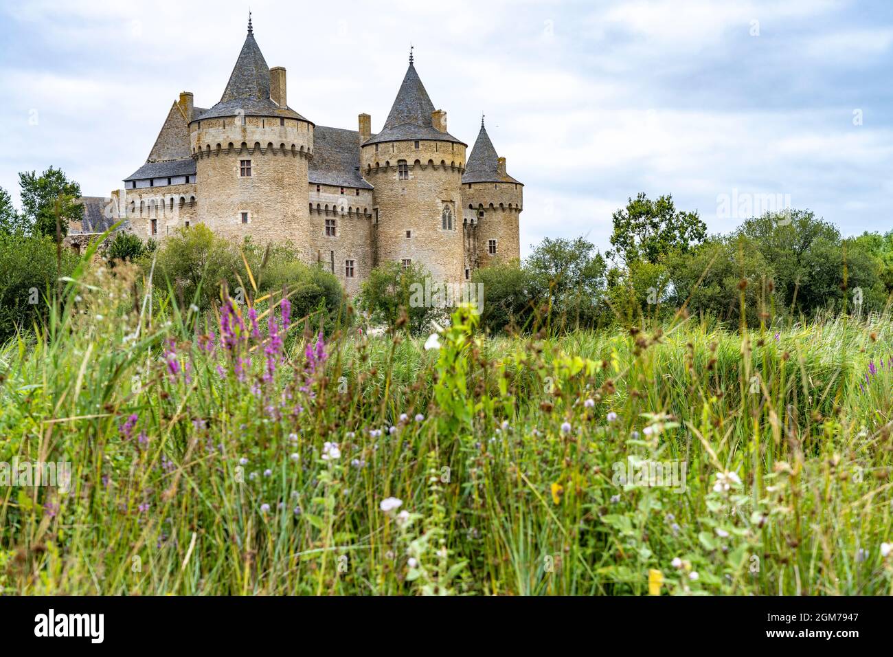 suscinio-castle-hi-res-stock-photography-and-images-alamy