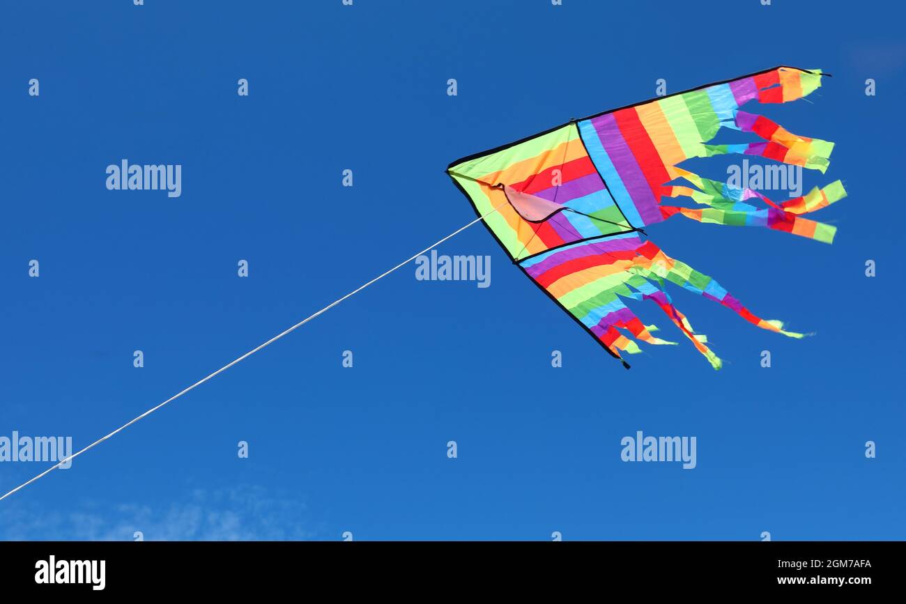 colorful multicolored kite with bright colors the background of the ...