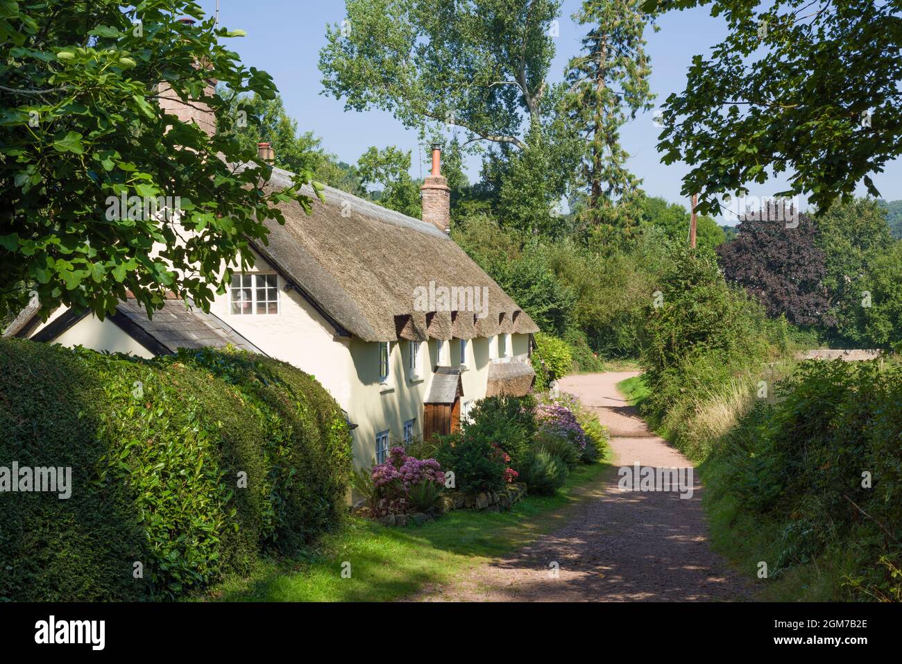 Thatched cottages on Bonniton New Road at Park Gate at the entrance to Dunster Park. Dunster, Exmoor National Park, Somerset, England. Stock Photo