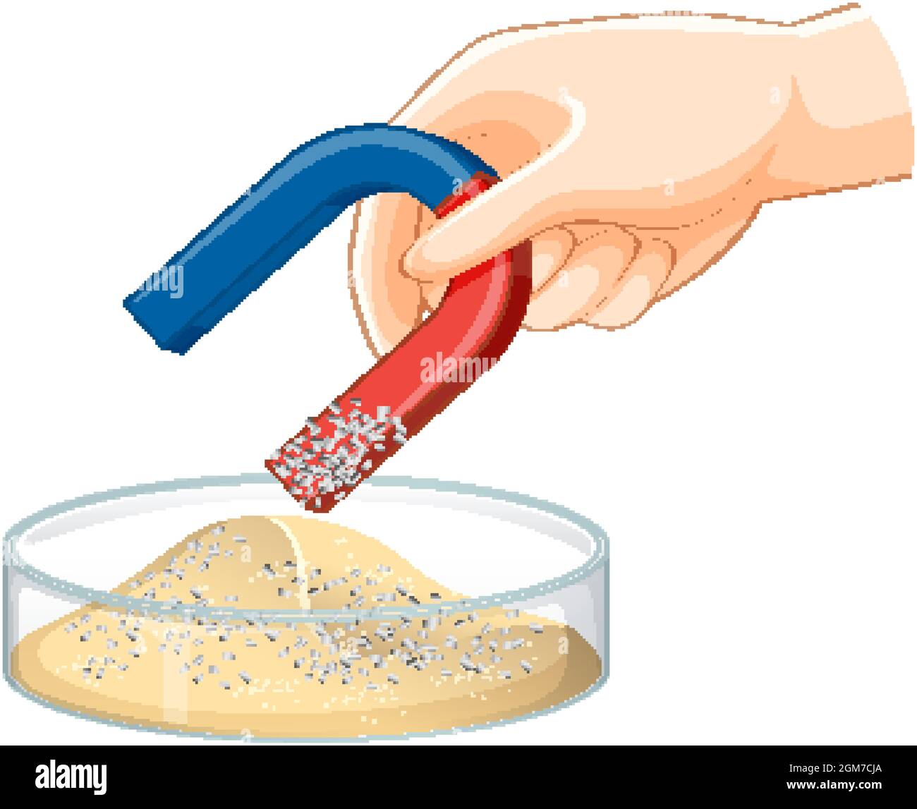 Separating mixtures by using illustration Stock Vector Image