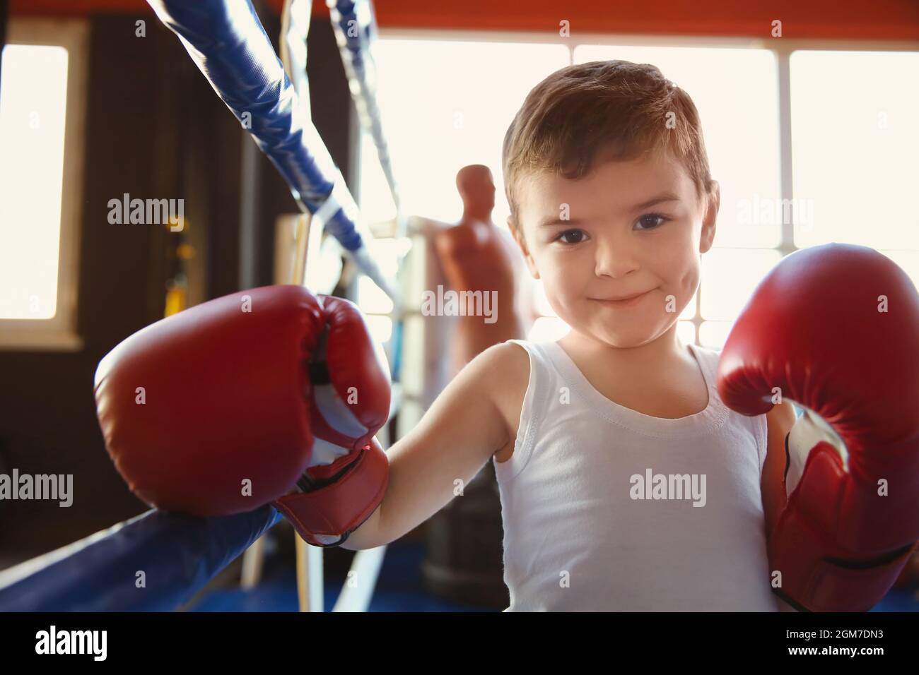 Little boy in boxing gloves on ring Stock Photo Alamy