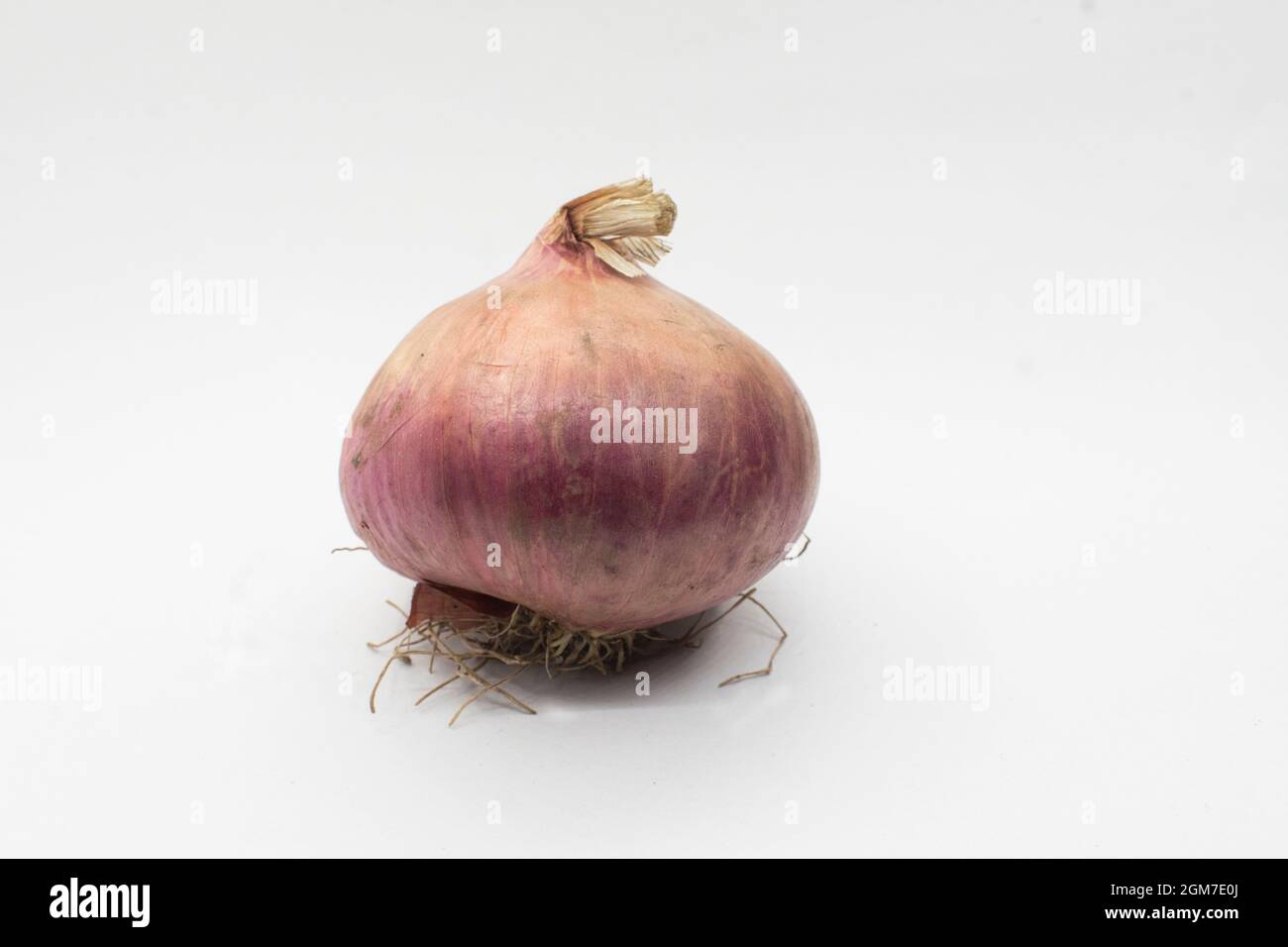 Mature white onions hi-res stock photography and images - Alamy