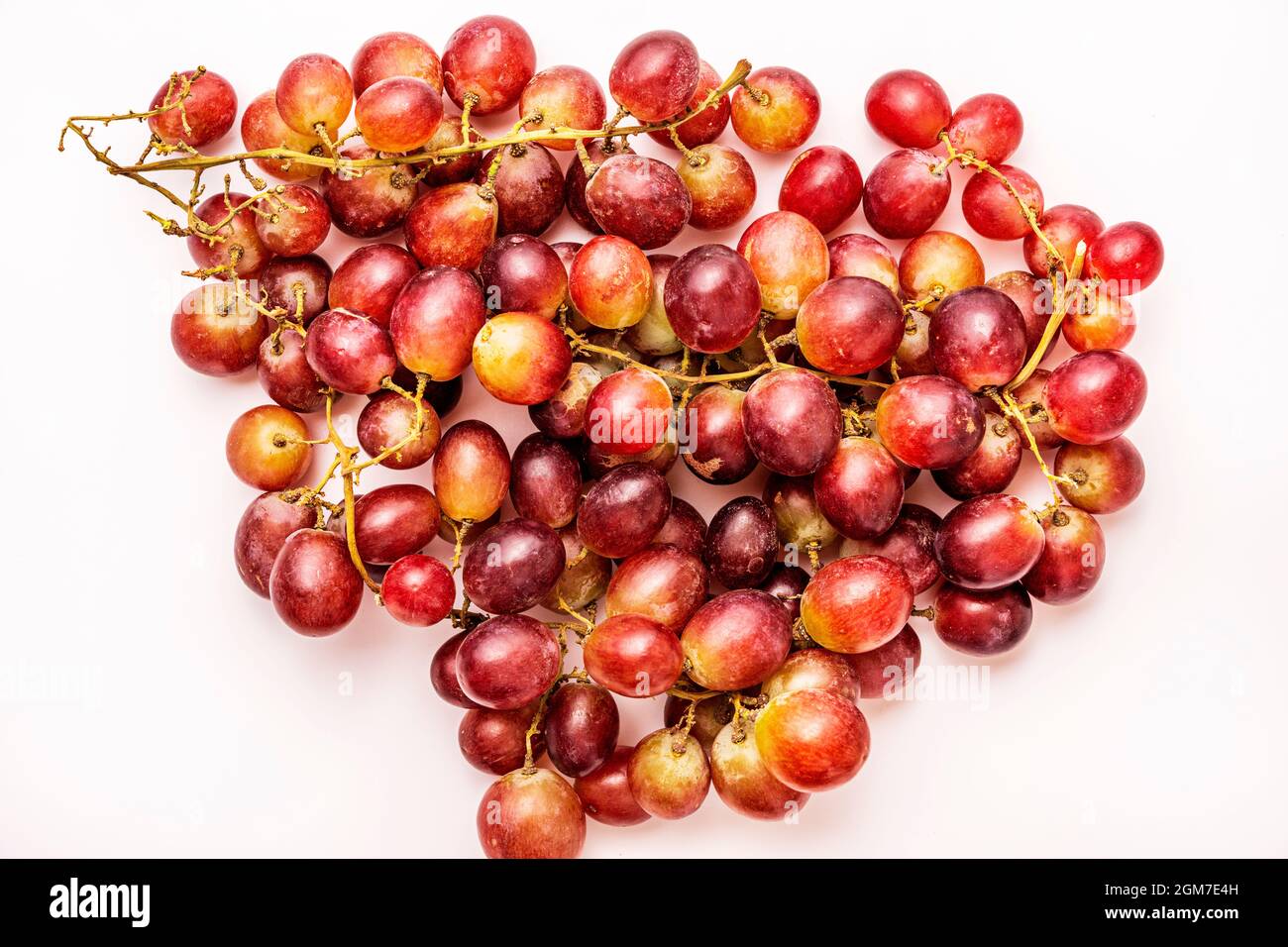 Several bunches of ripe and clean claret color dessert grapes on white table Stock Photo