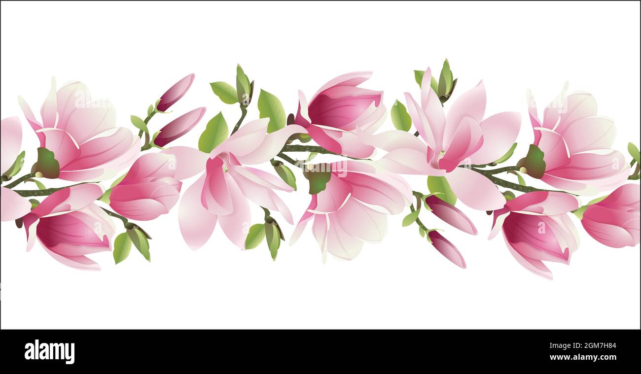 Magnolia Flowers. A branch of magnolia with pink flowers and leaves on ...