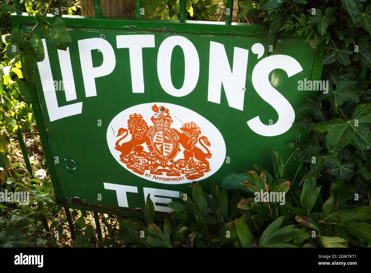Adverts  for Lipton's Tea. 1950s 1960s Watercress line, Alresford Railway station. Hampshire England UK Stock Photo