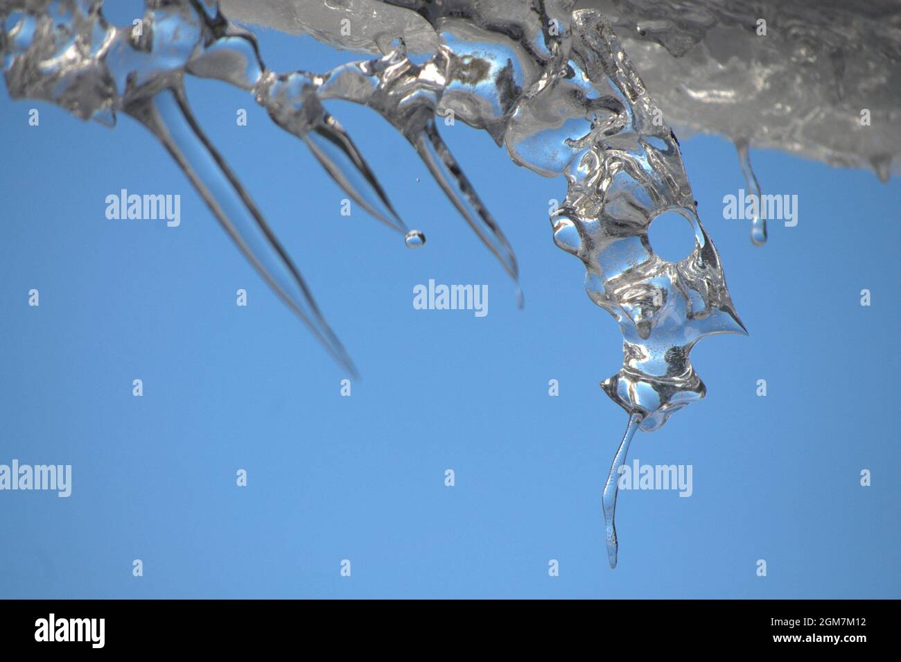 Ickle icicle melting driping drops winter snow Stock Photo