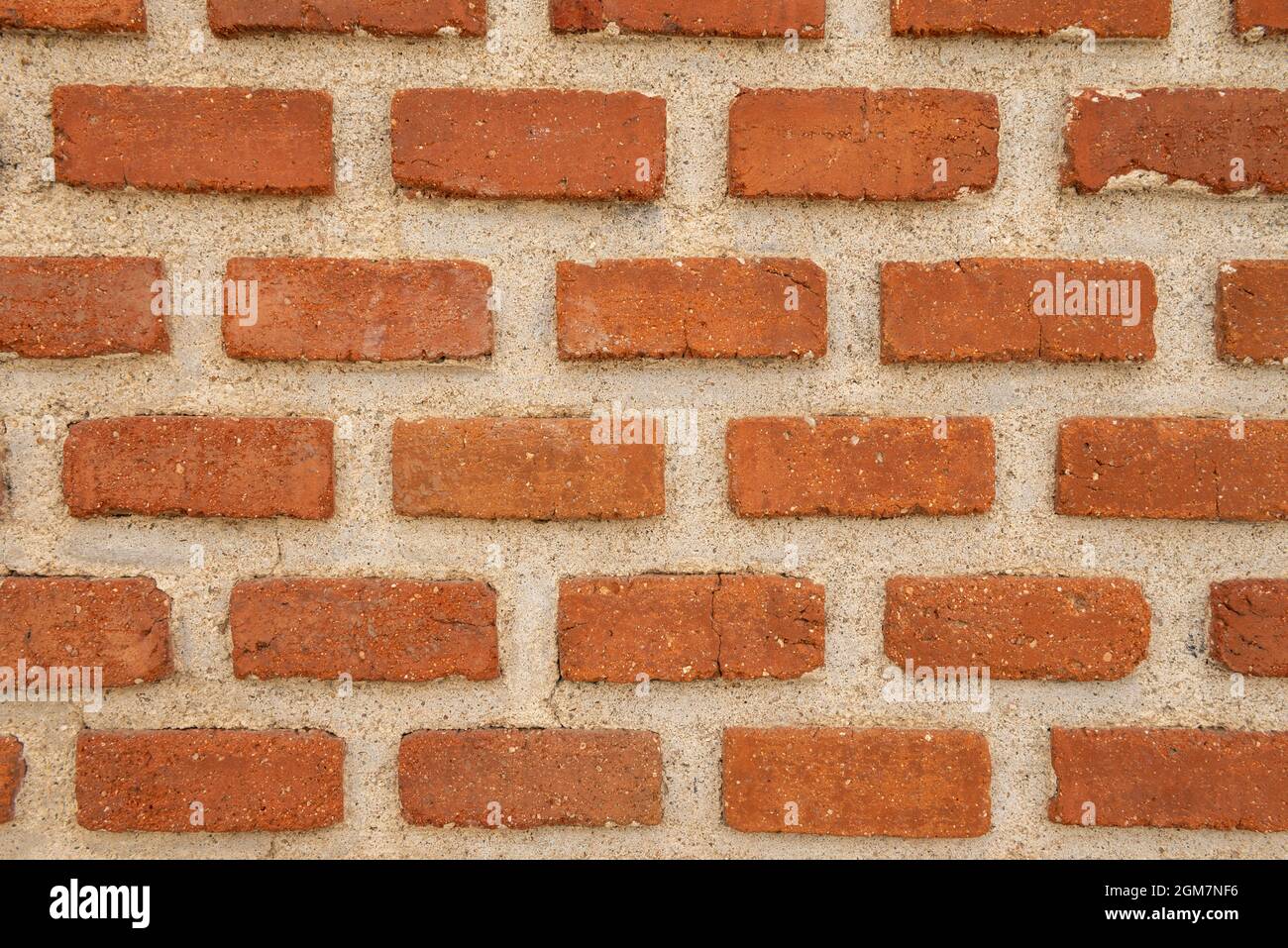 Clay brick wall interwoven with cement between the joints. Vector