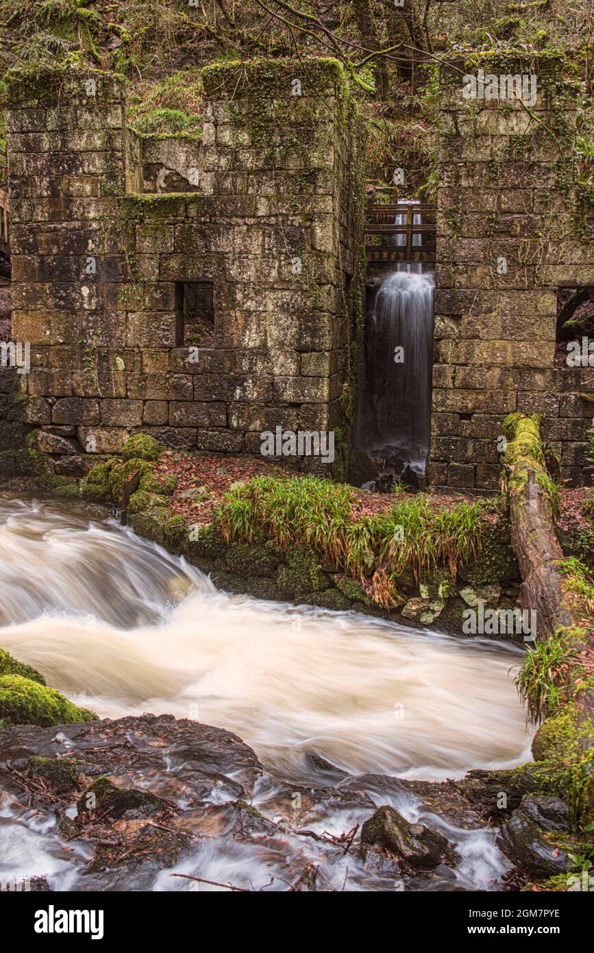 The first Cornish mill to manufacture gunpowderis a beautiful woodland with fascinating remnants of its industrial past as a gunpowder factory, Stock Photo
