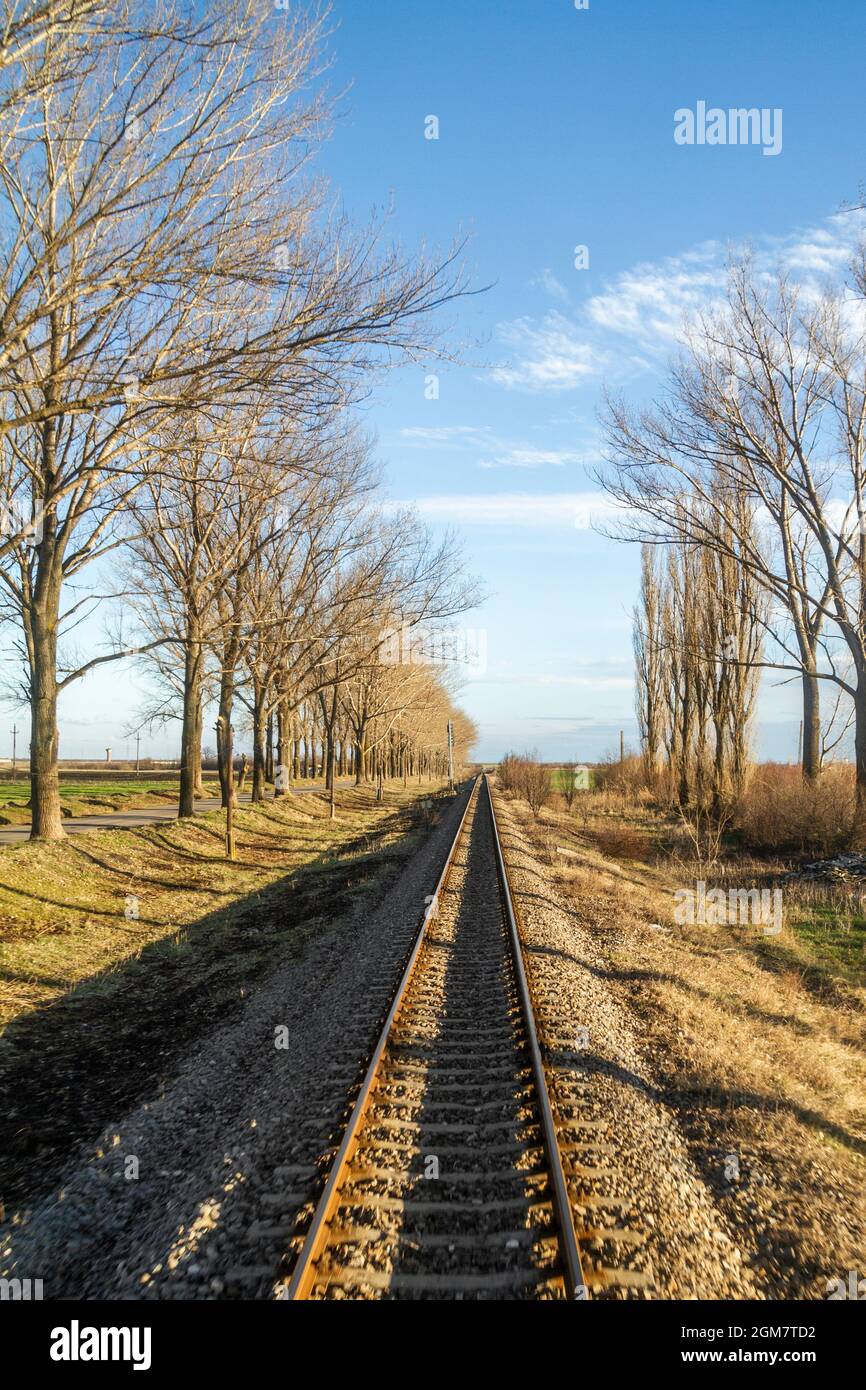 Train track with a view to infinity from a caboose of a moving train