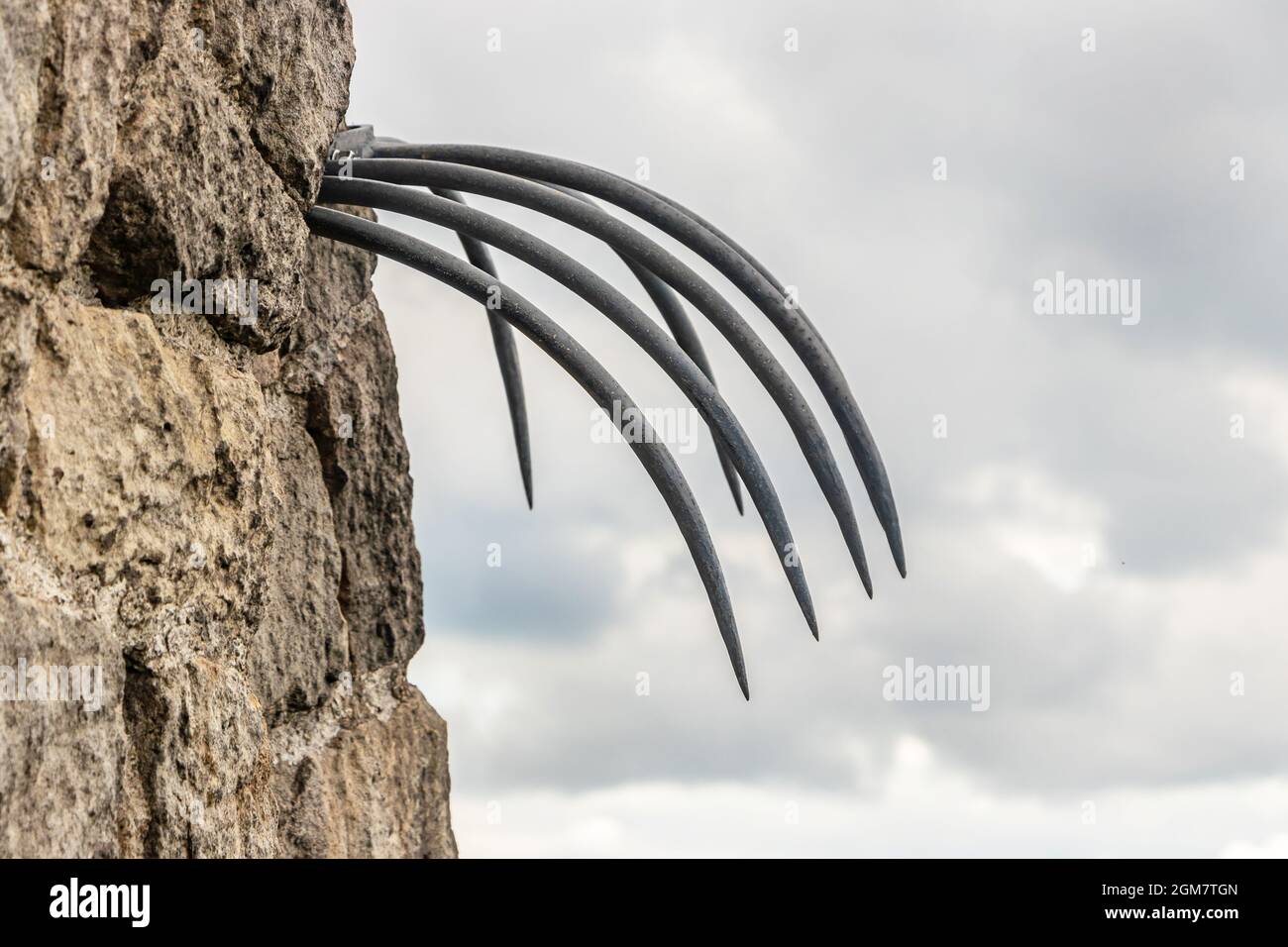 claw like defensive spikes in stone wall at Mow Cop hill top folly staffordshire Stock Photo