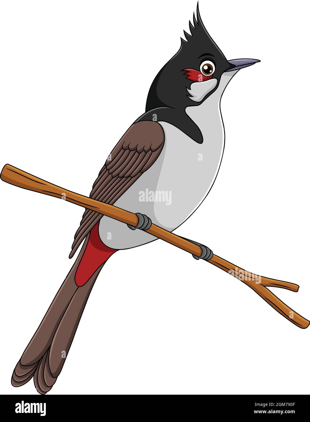 Cute Red whiskered Bulbul bird cartoon vector illustration Stock Vector