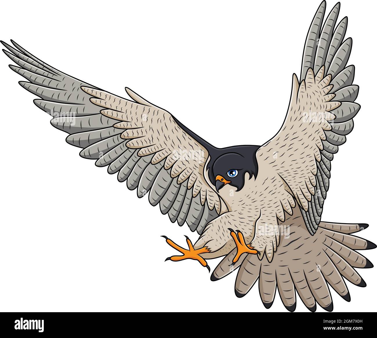 Falcon flying cartoon vector illustration Stock Vector