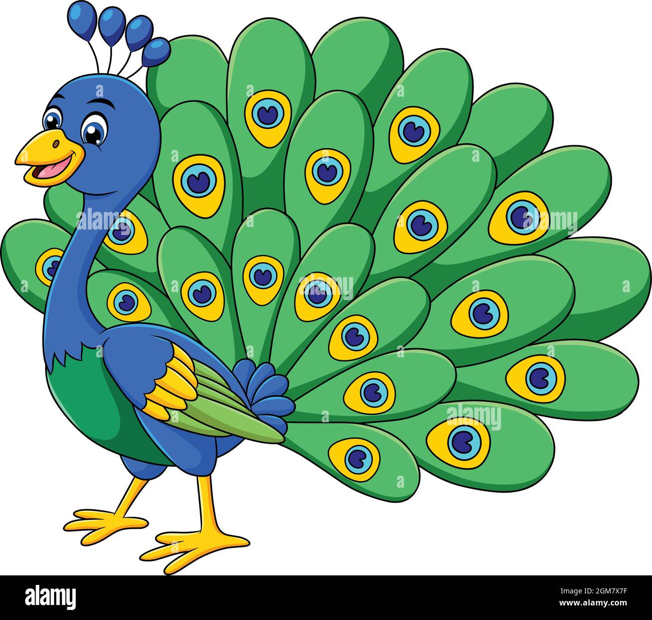 Cute Peacock bird cartoon vector illustration Stock Vector Image & Art - Alamy Cute Peacock bird cartoon vector illustration Stock Vector Image & Art - Alamy