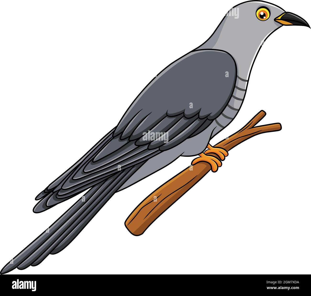 Cute Cuckoo bird cartoon vector illustration Stock Vector Image & Art -  Alamy