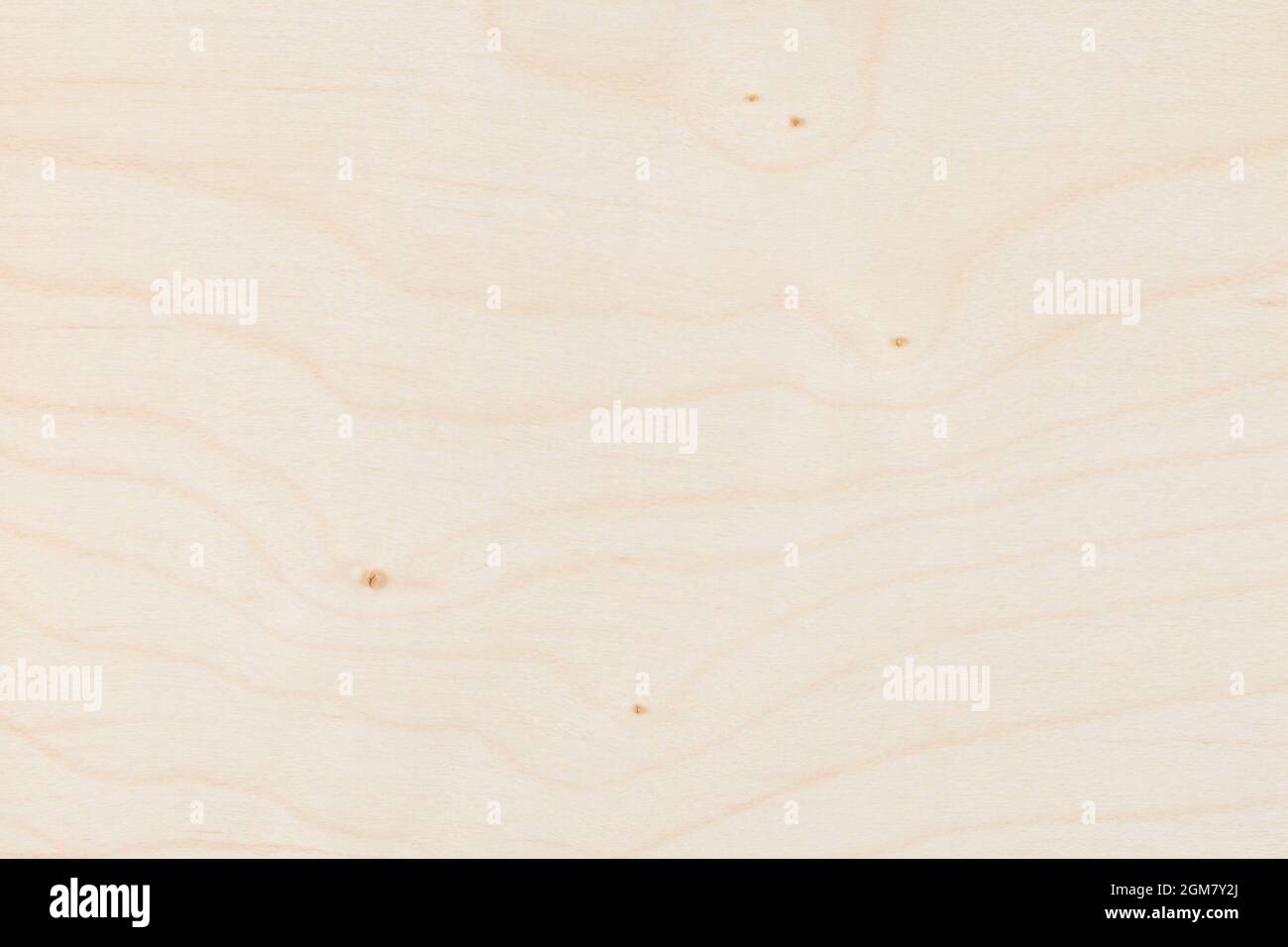 Light maple clon wood panel texture pattern Stock Photo