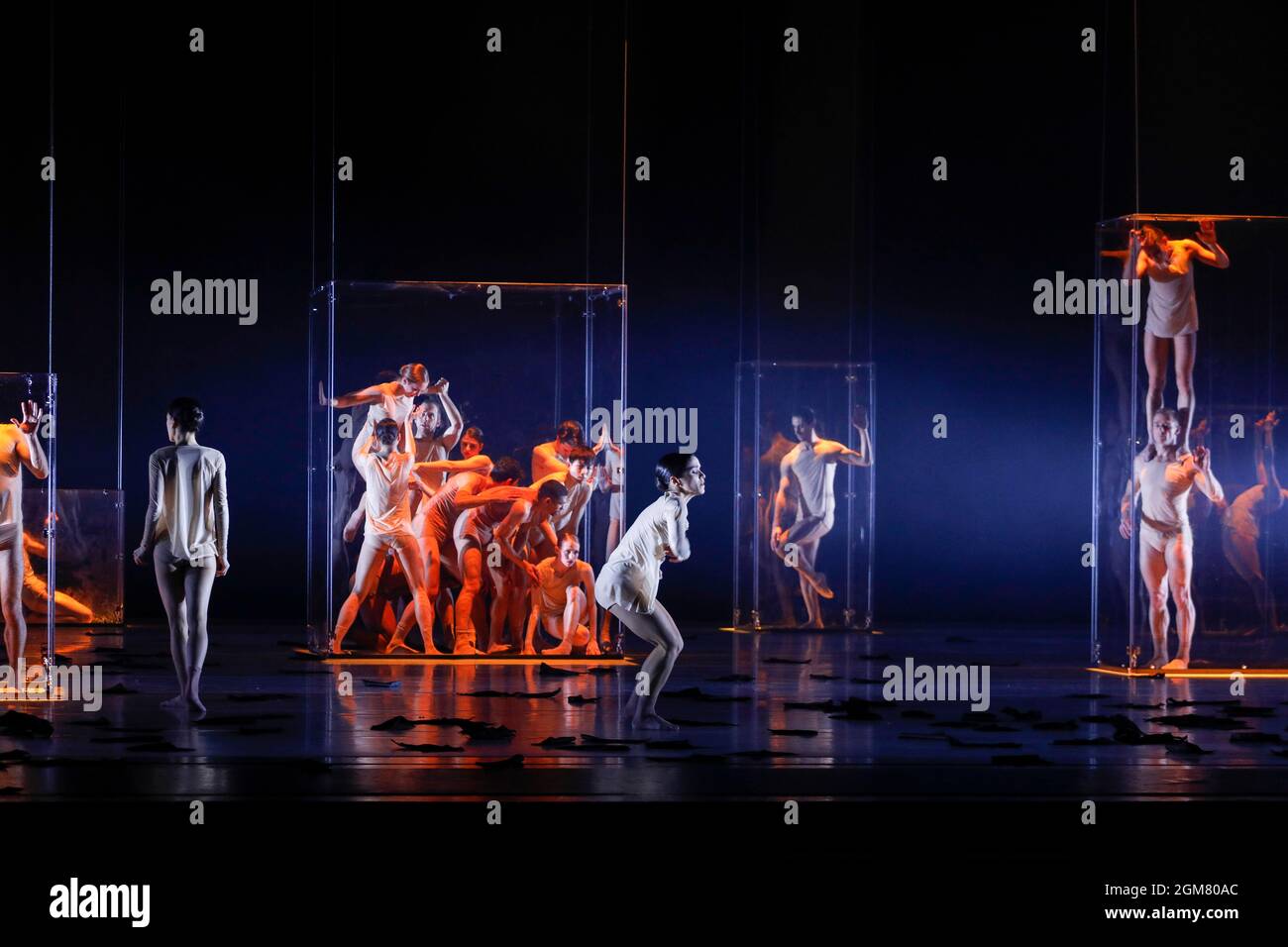 Das Ensemble des Leipziger Ballett im zweiteiligen Ballettabend "Lamento", Bluehende Landschaft, Choreografie Mario Schroeder, Musikalische Leitung Ch Stock Photo