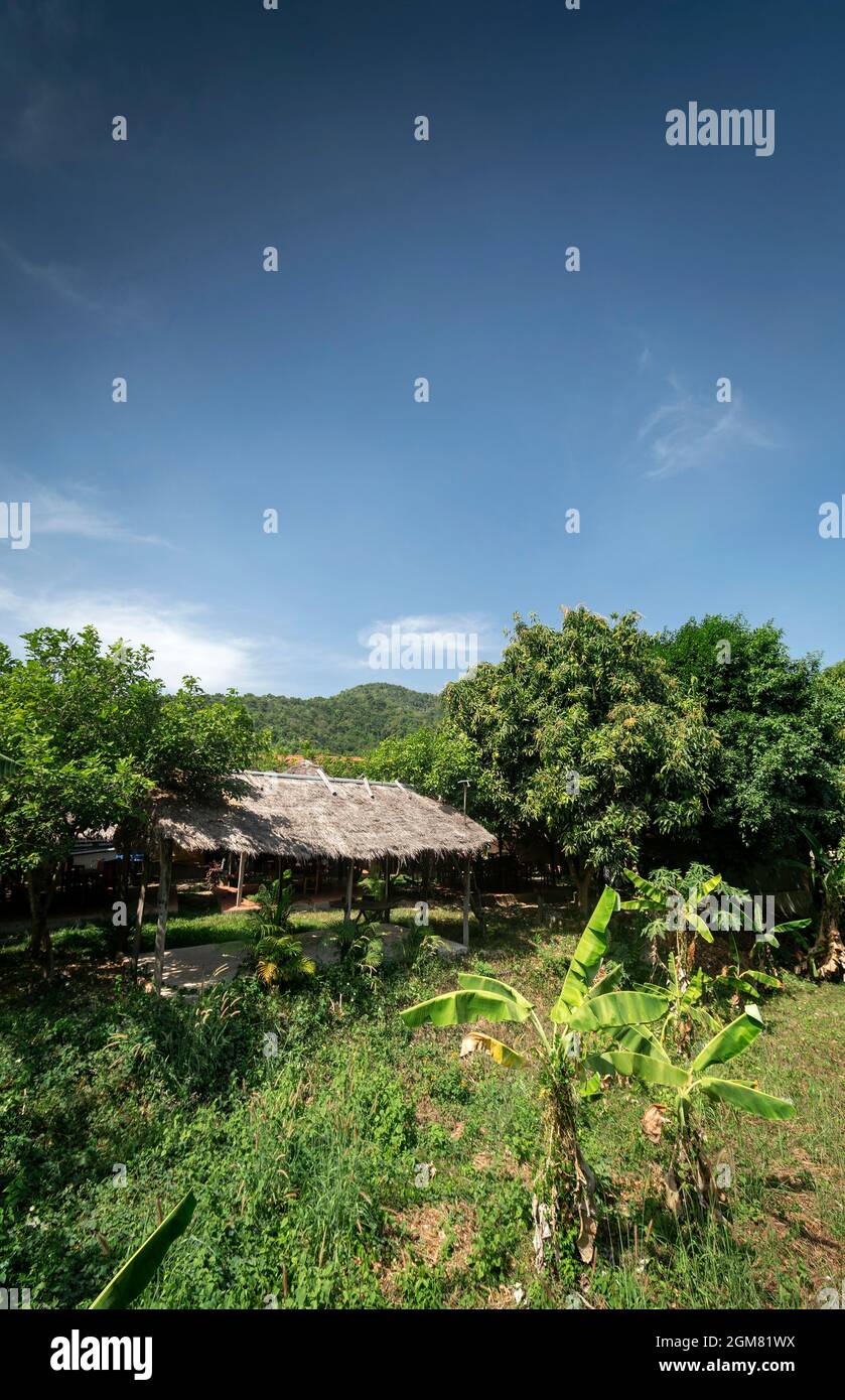 traditional thatched bungalow in tropical fruit farm plantation near kampot cambodia Stock Photo