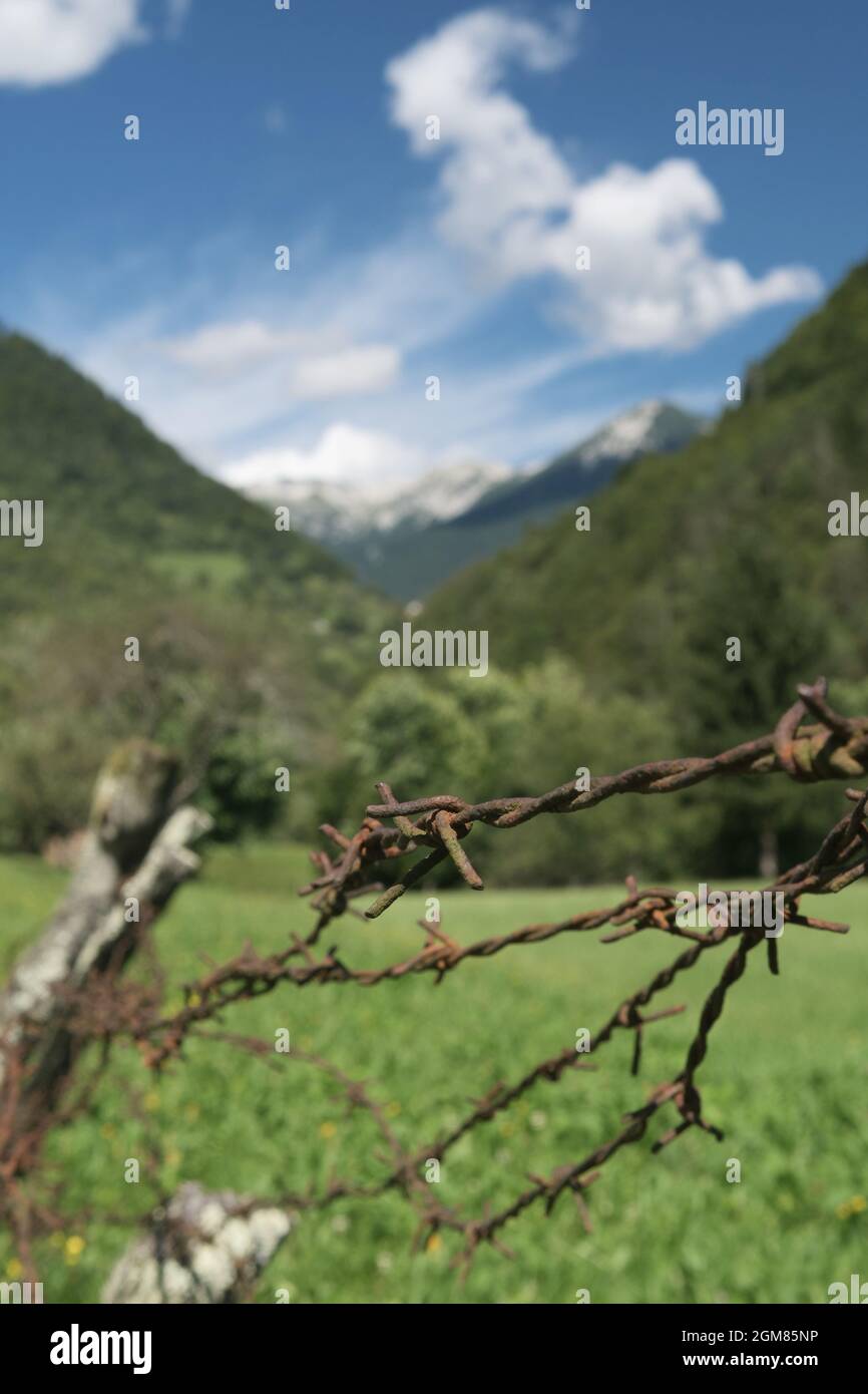 Close-up of barbed wire fence in pasture in alpine environment Stock Photo