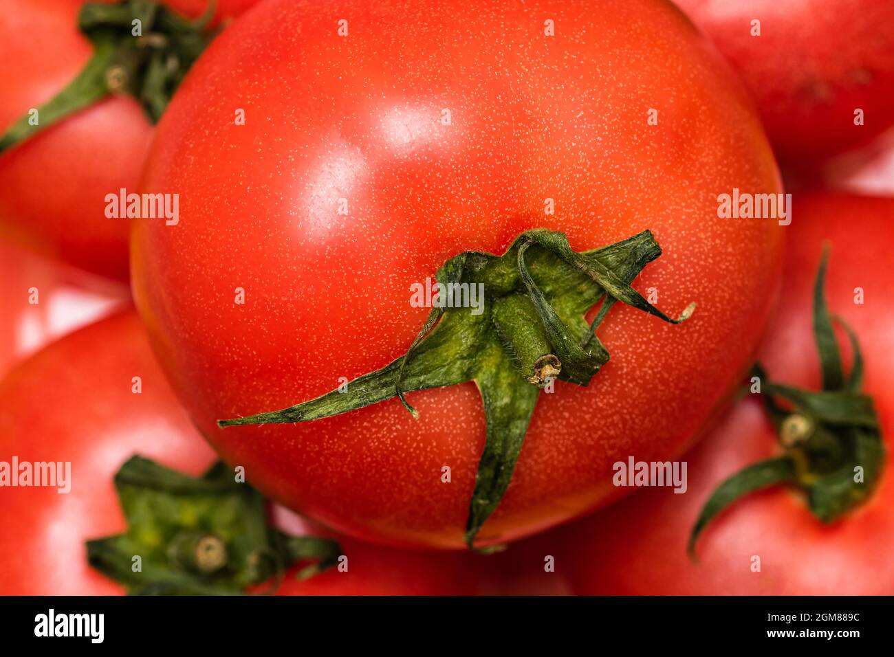 Closeup shot of ripe red tomato - great for wallpaper Stock Photo - Alamy