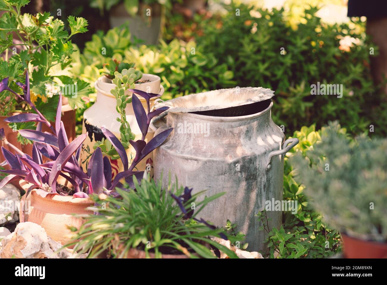 Reused planter ideas. Old cans turn into garden flower pots. Recycled ...