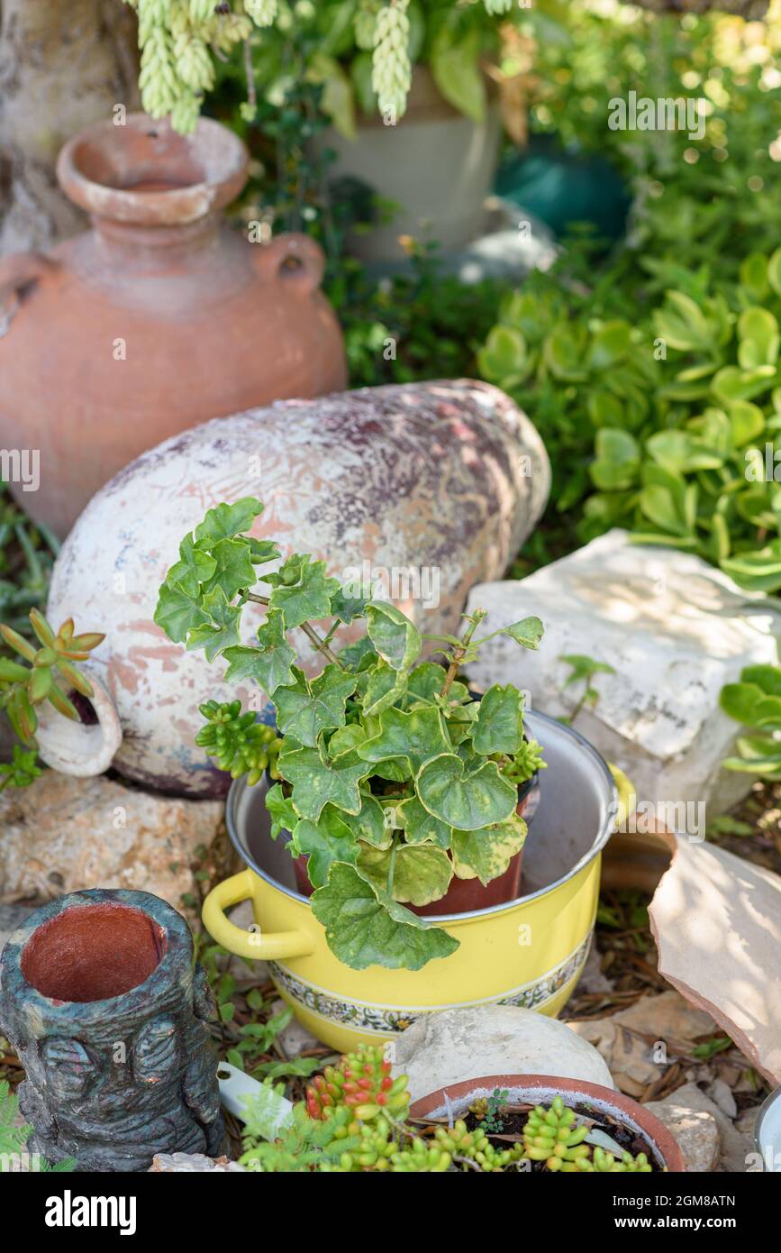 Reused garden design ideas. Old saucepans, old vases turn into garden flower pots. Recycled garden design, diy and low-waste lifestyle. Stock Photo