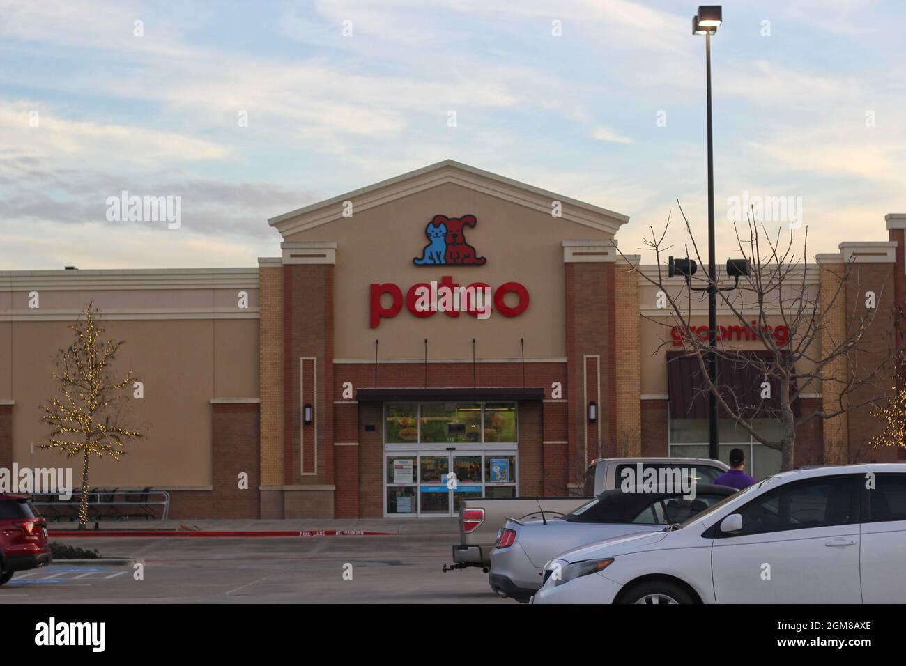 Petco shopping center 2025