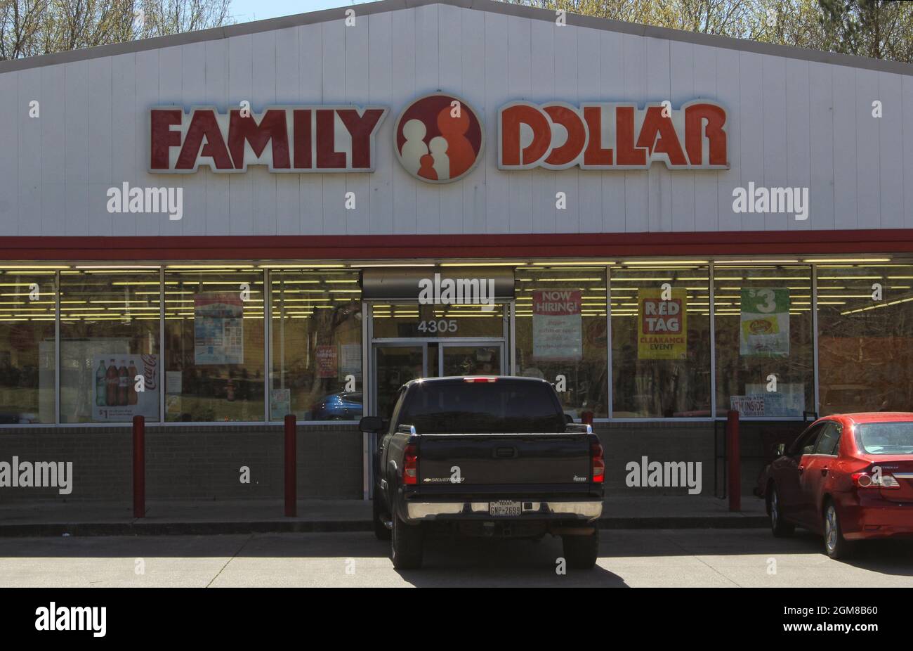 Family tree logo hires stock photography and images Alamy