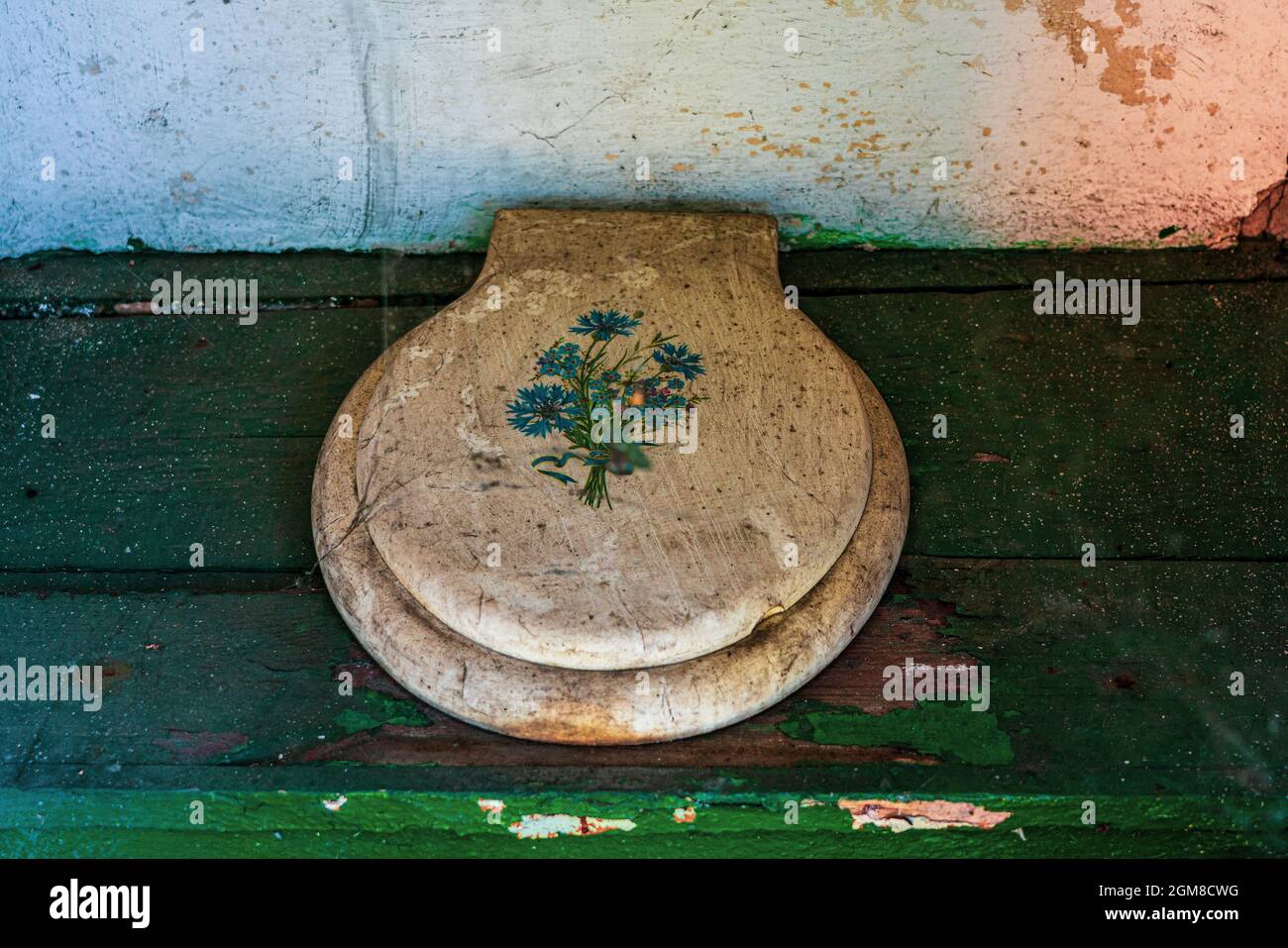 An old outhouse with a toilet seat Stock Photo Alamy