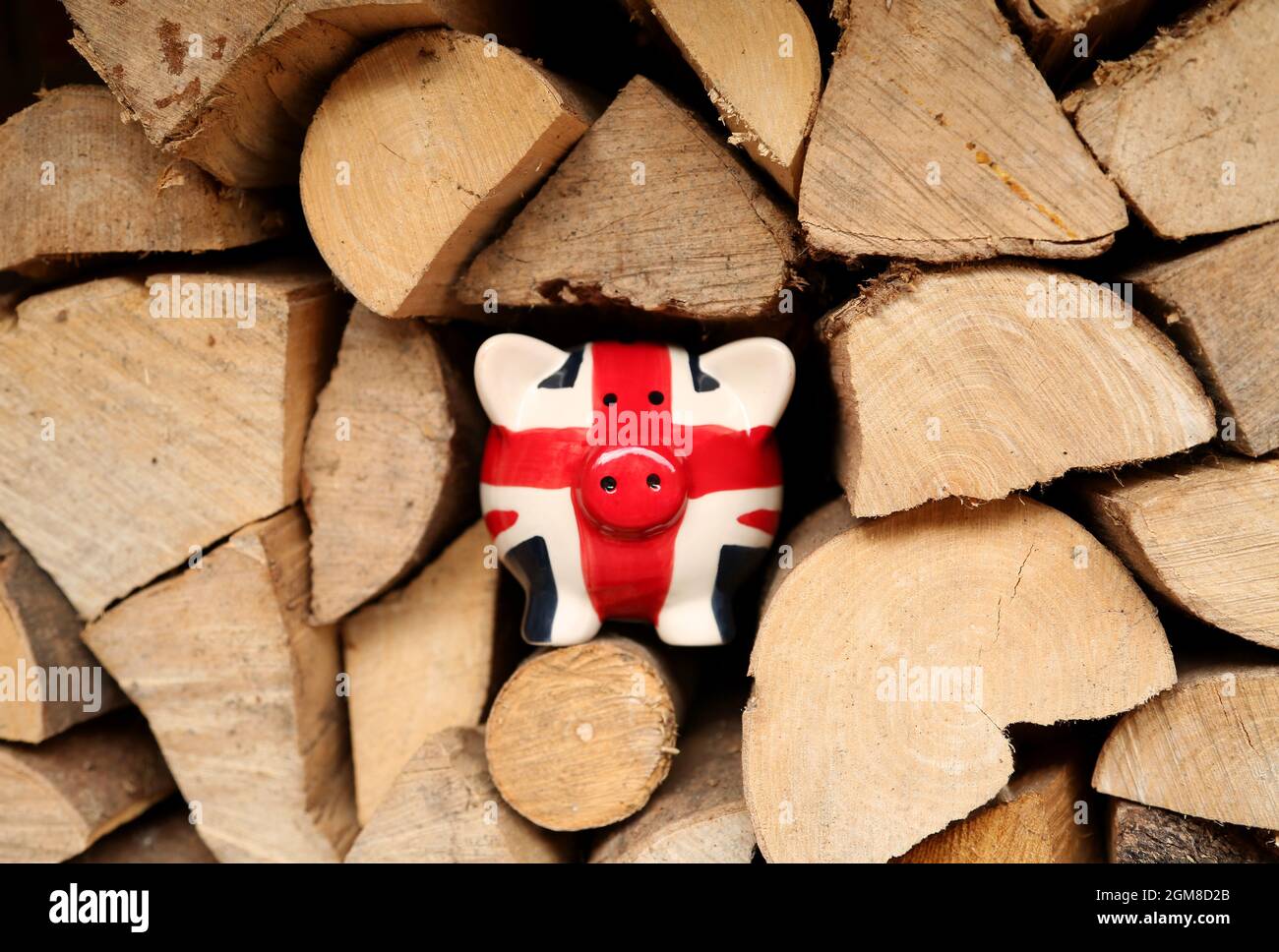 Wood shortage piggy bank Stock Photo