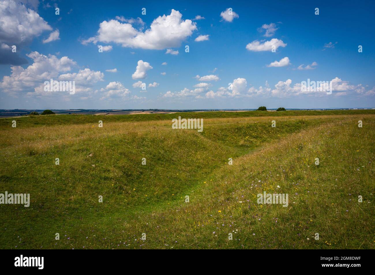 Figsbury Ring Iron Age hill fort near Salisbury, Wiltshire, UK Stock
