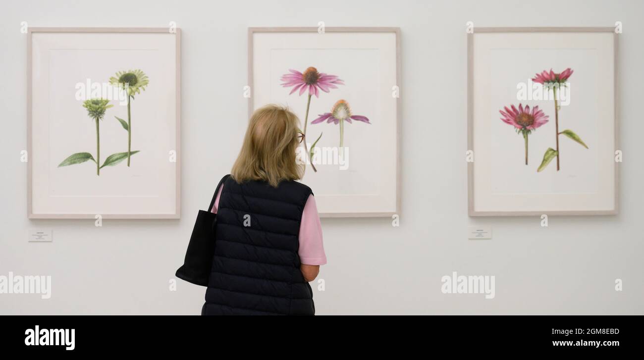 Saatchi Gallery, London, UK. 17 September 2021. The RHS and Saatchi