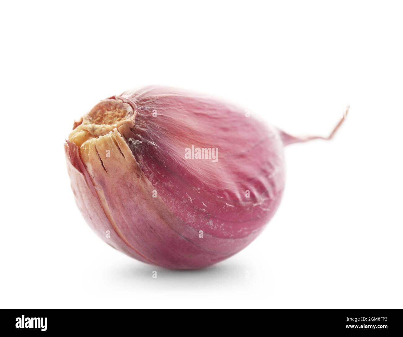 Fresh garlic clove on white background Stock Photo - Alamy