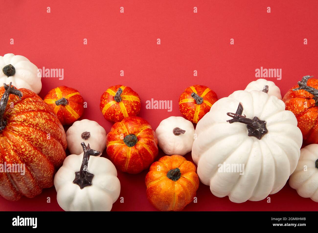 Different size white and orange pumpkins top view against red ...