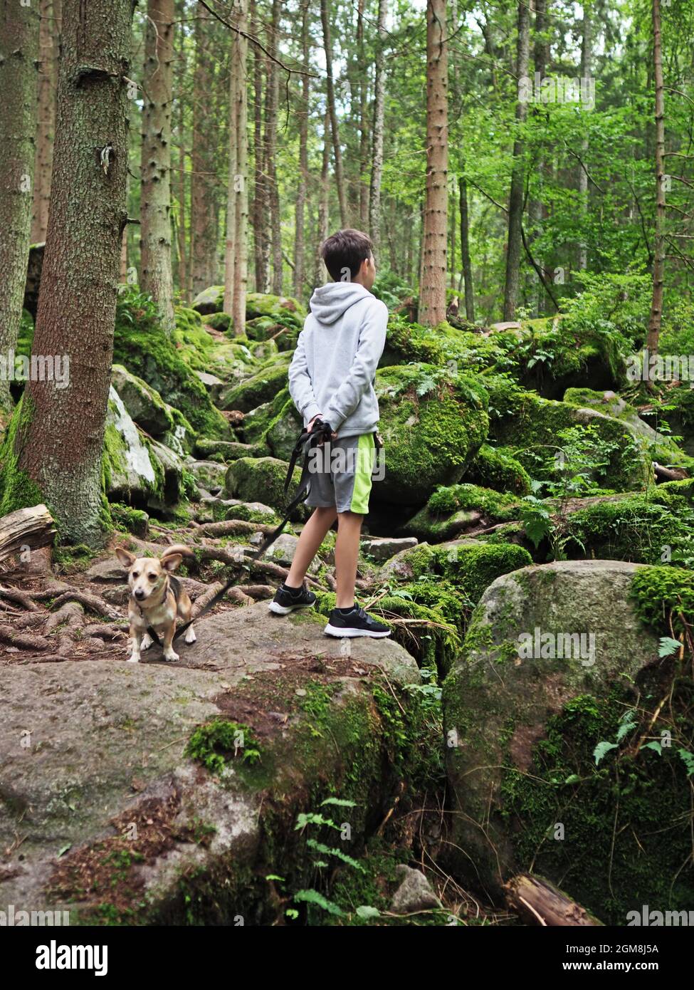 Young boy woman the small dog in summer forest Stock Photo