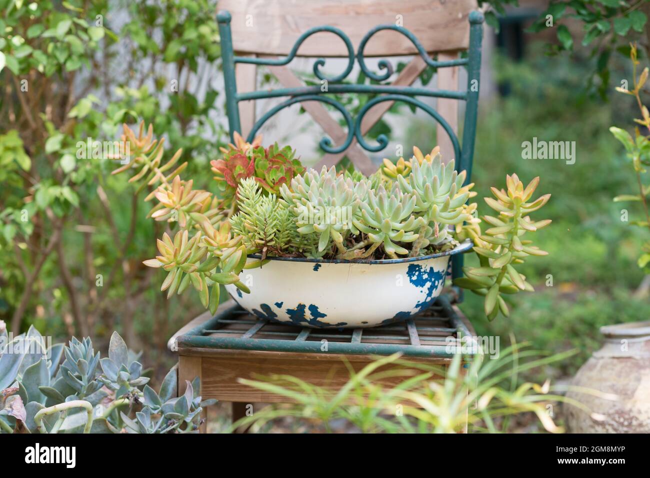 Reused garden design ideas. Old basin turn into garden flower pots. Recycled garden design, diy and low-waste lifestyle. Stock Photo