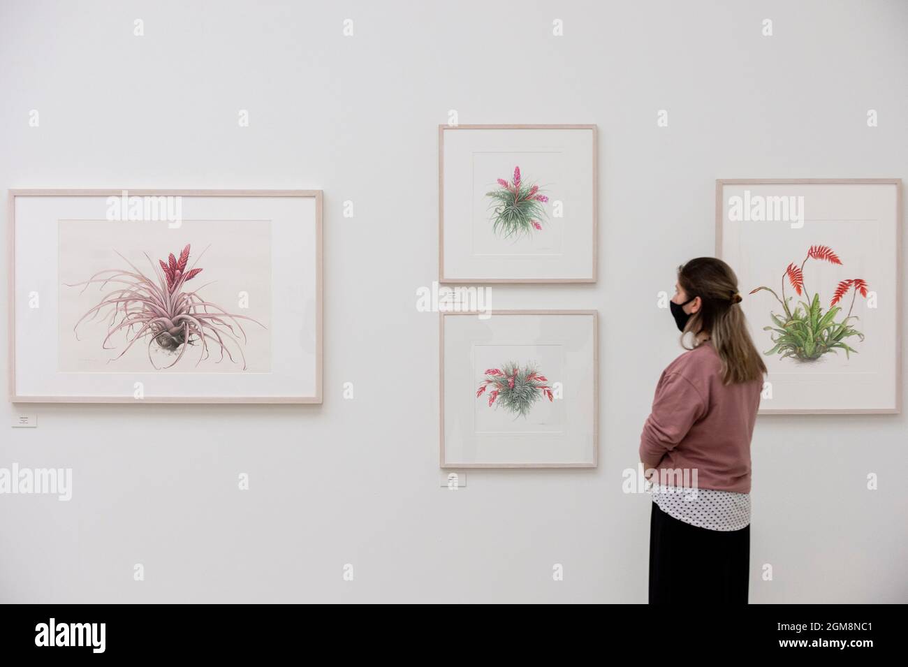 London, UK. 17 September 2021. A staff member views illustrations of