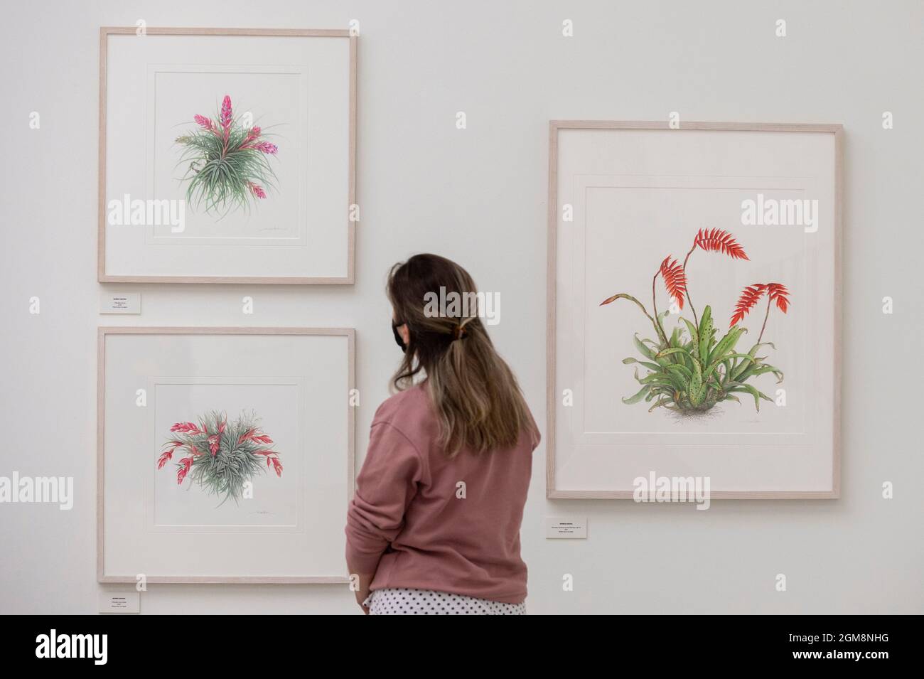 London, UK. 17 September 2021. A staff member views illustrations of