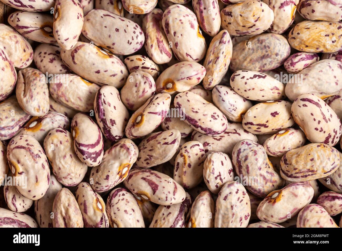 Dried cranberry beans. Borlotti beans. Top view. Stock Photo