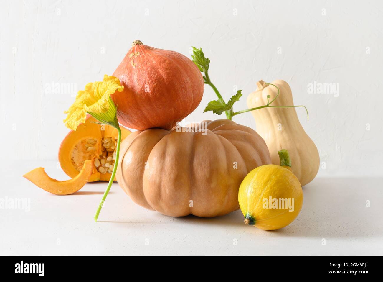 Creative balance composition of pumpkins for Halloween or Thanksgiving Day on white background. Seasonal autumn holiday decoration. Stock Photo