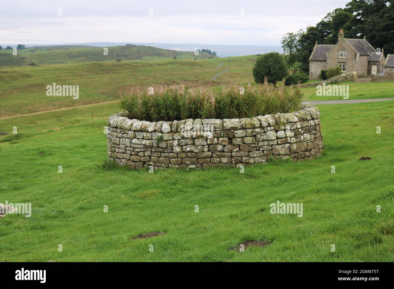 Hadrian's Wall and surrounding landscape near Haltwhistle. Stock Photo