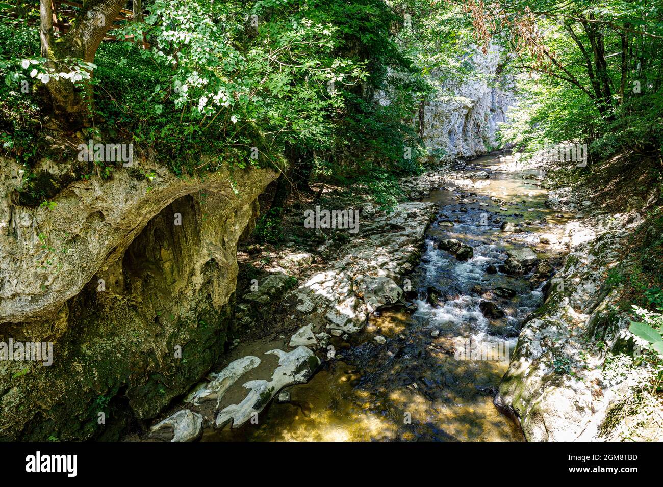 The Bigar cascada in the Cheile Nerei-Beușnița National Park in Romania Stock Photo