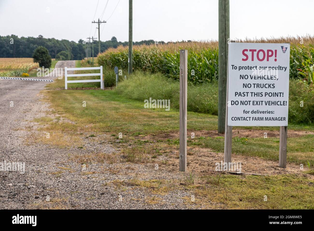 Martin, Michigan - A sign at an entrance to the Vande Bunte Egg farm prohibits visitors to prevent spread of disease to its 2.7 million laying hens an Stock Photo