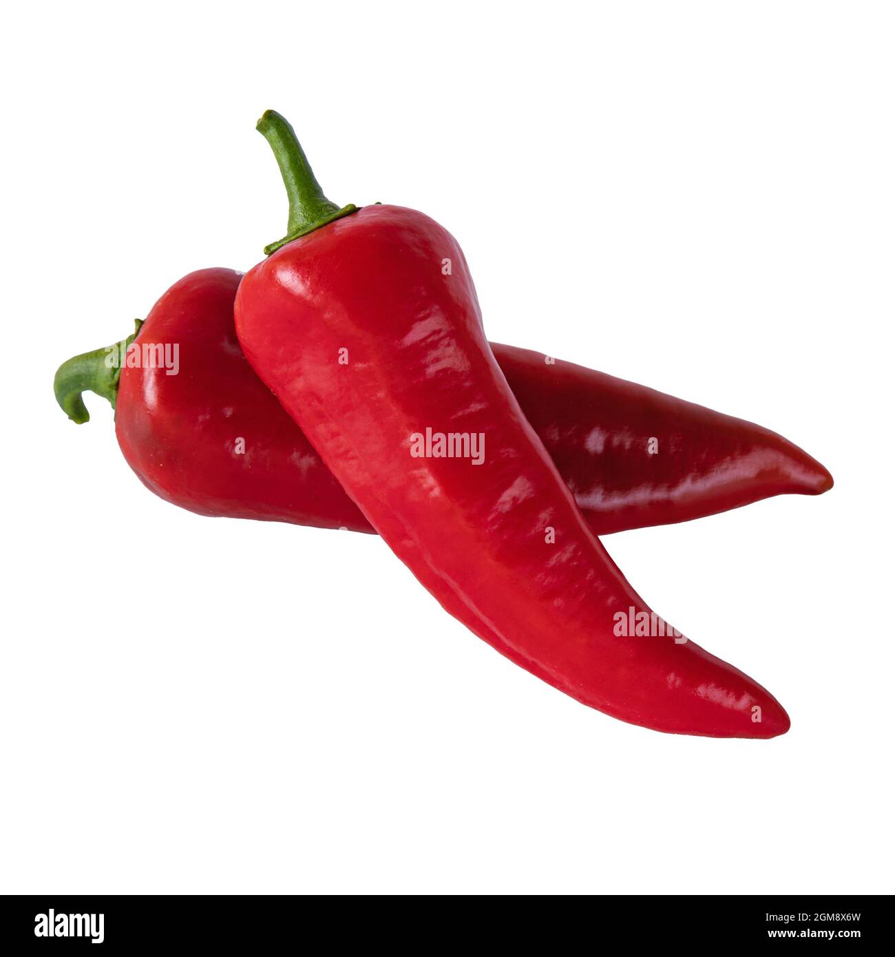 two red chili peppers isolated on white background, long sweet peppers