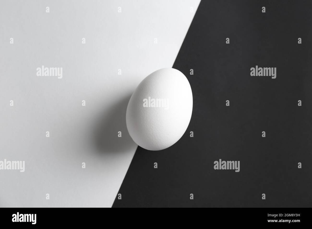Chicken egg on white and black background Stock Photo - Alamy