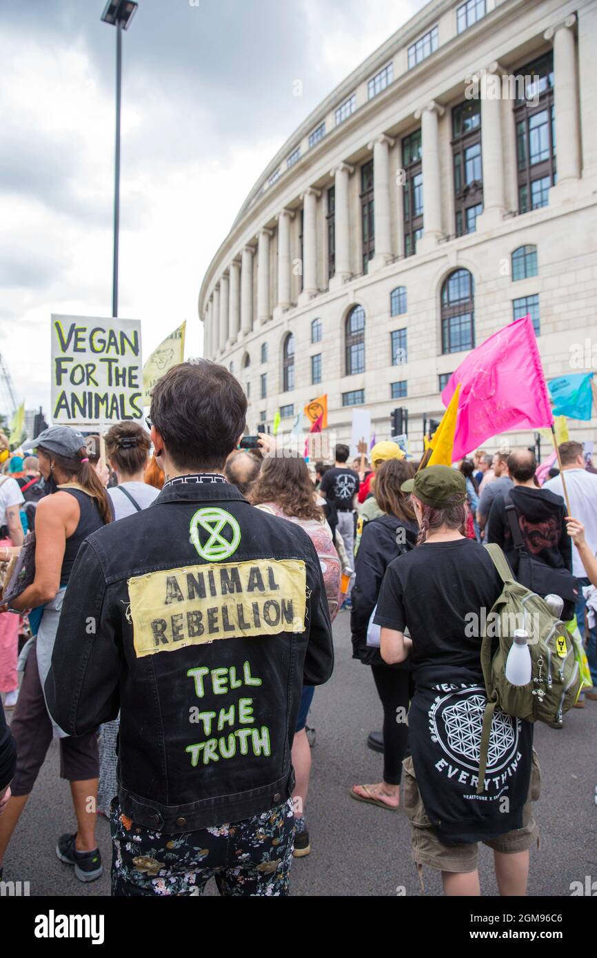 Animal rights demonstrators gather during the National Animal Rights ...