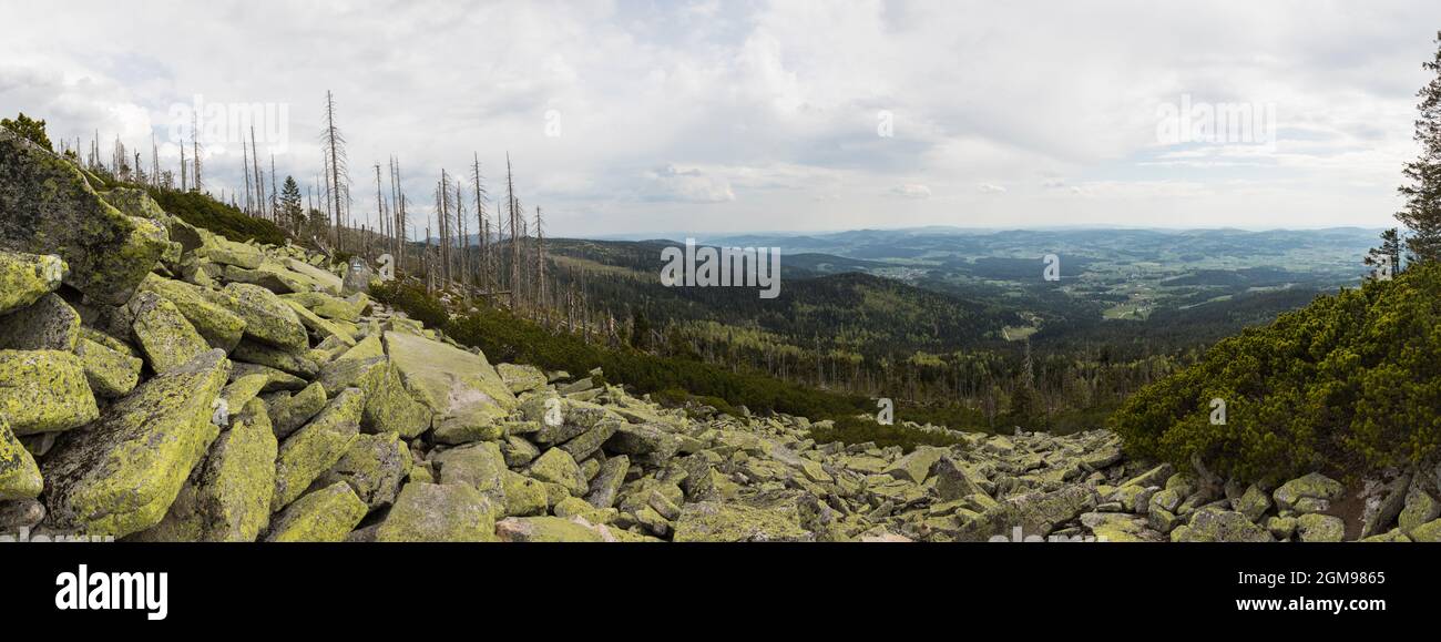 Steinfeld im Bayerischen Wald, stone field in bavarian forest Stock Photo