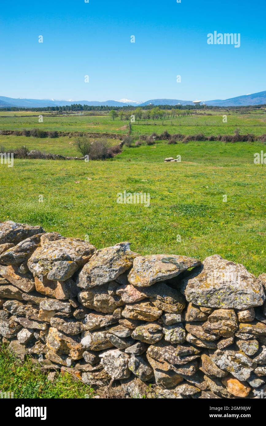 Stone fence and meadow. Gandullas, Madrid province, Spain. Stock Photo