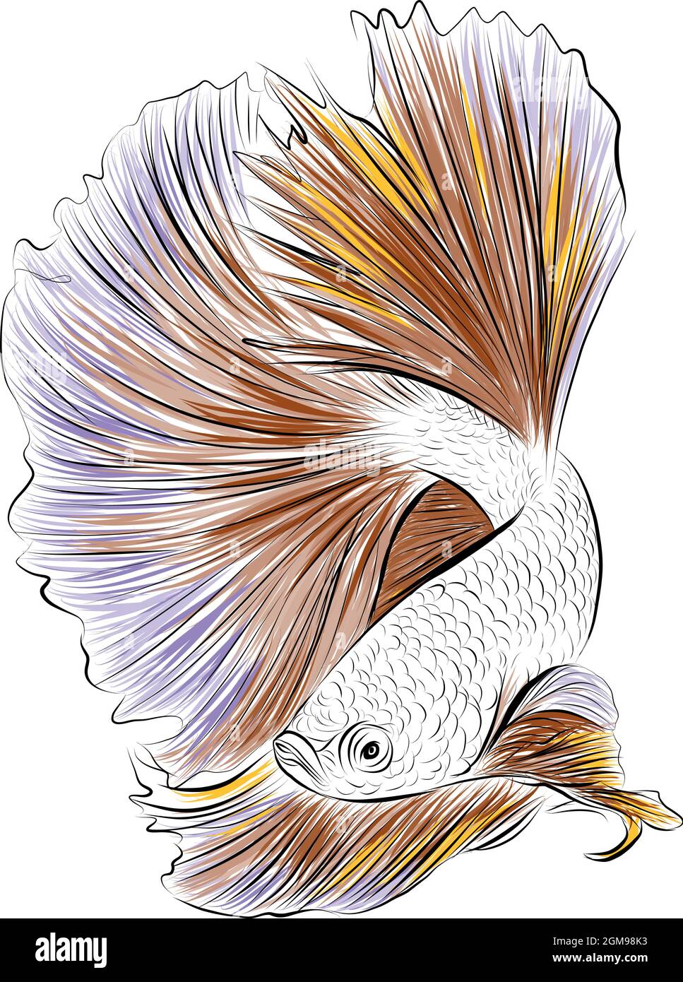 Thai Fighting Fish Black Lineart, Fish Drawing, Fish Sketch, Betta PNG and  Vector with Transparent Background for Free Download