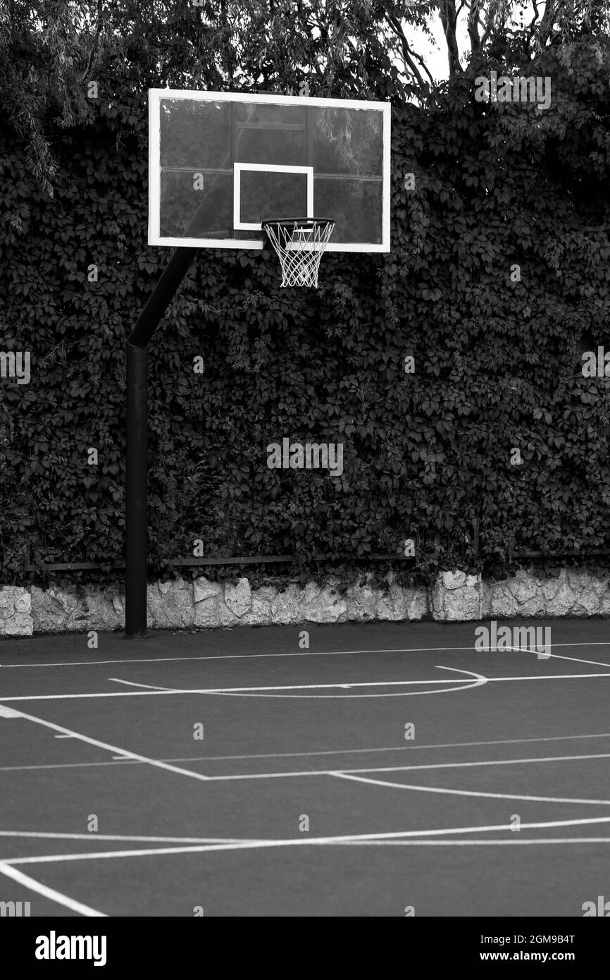 Red basketball hoop with net with green leaves background. Sport concept Stock Photo