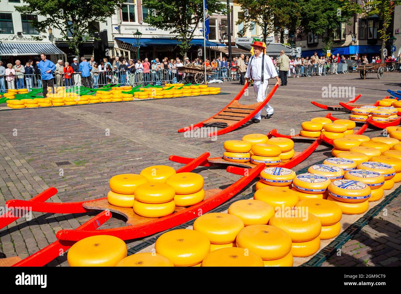 Traditional Dutch cheese market on the market square in Alkmaar, The
